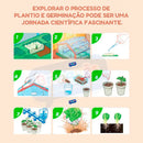 Mini Estufa Ecológica Infantil Brinquês